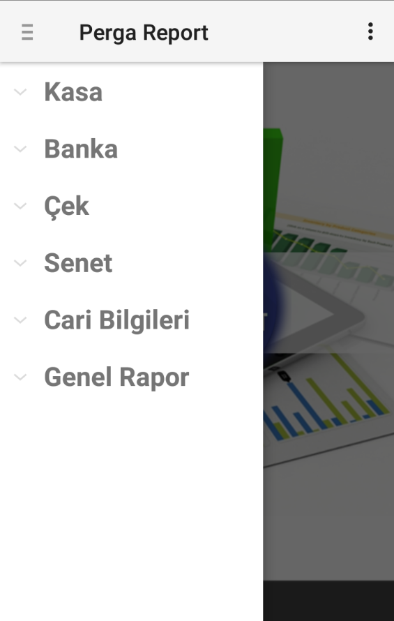 Netsim Rapor Uygulaması
